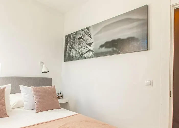 Nevada Dream Monte Gorbea *